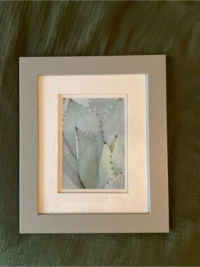 Framed Cactus Neutral Gray Framed Succulent Art Print 10”x12”